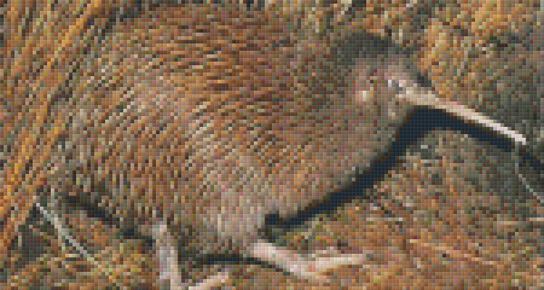 Brown Kiwi Six [6] Baseplate PixelHobby Mini-mosaic Art Kits image 0